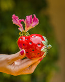 Vaso Fragola em Cerâmica - Dolce Vita-pre venda 10 dias úteis