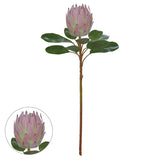 Planta Permanente Protea Frosted Rosa