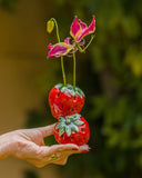 Vaso Fragole em Cerâmica - Dolce Vita