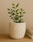 Cachepot em Cimento com Textura Tramada – Pequeno