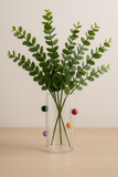 Vaso de Vidro Borossilicato Color – 16 cm