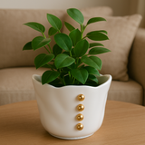 Cachepot Orbe em Porcelana - 19 cm