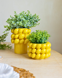 Vaso Full Lemon – Pequeno