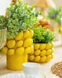Vaso Full Lemon - Grande Pré Venda 10 dias úteis