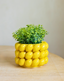 Vaso Full Lemon – Pequeno