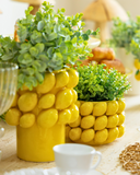 Vaso Full Lemon – Pequeno
