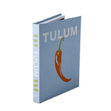 Livro Caixa Tulum